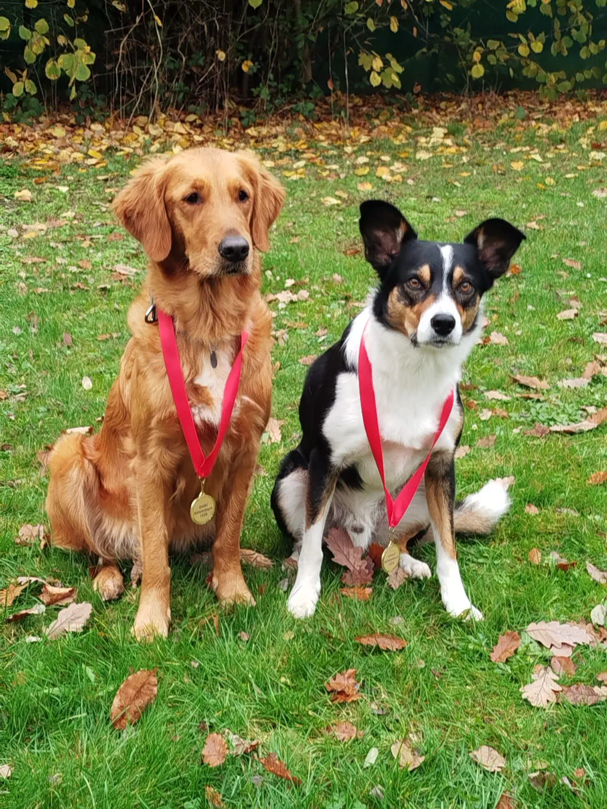 2025-11-16 Obedience