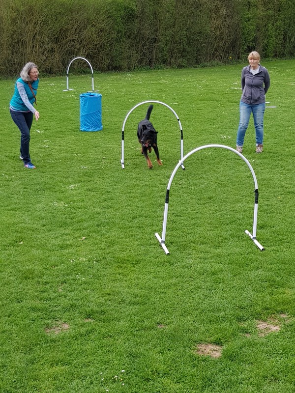 Spass mit Hund und Hoopers 01