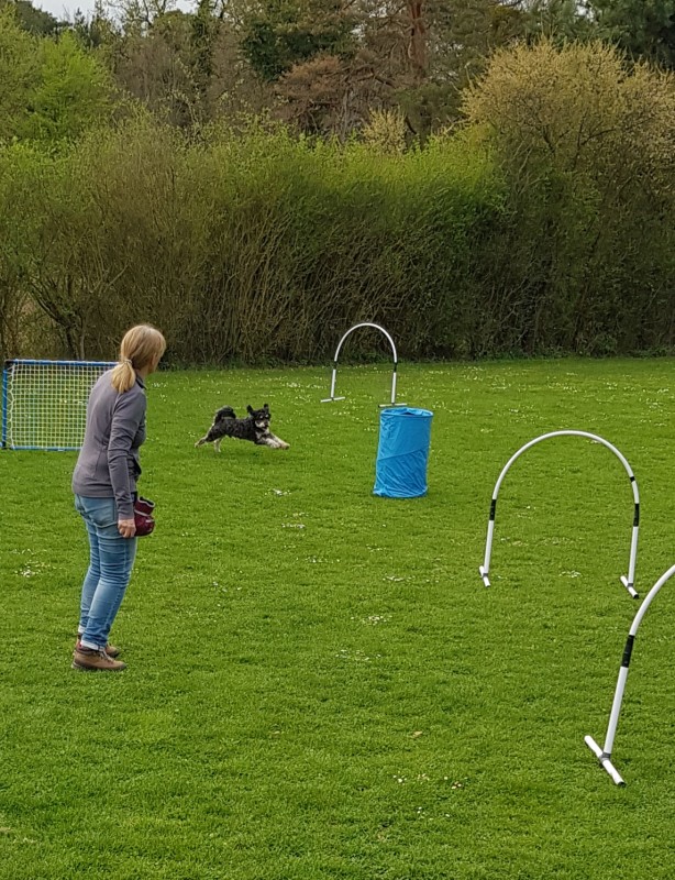 Spass mit Hund und Hoopers 02