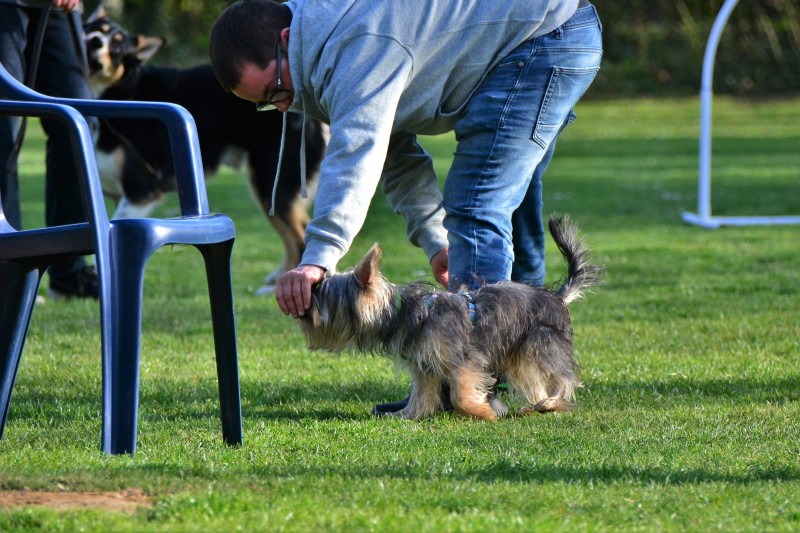 Spass mit Hund und Hoopers 08