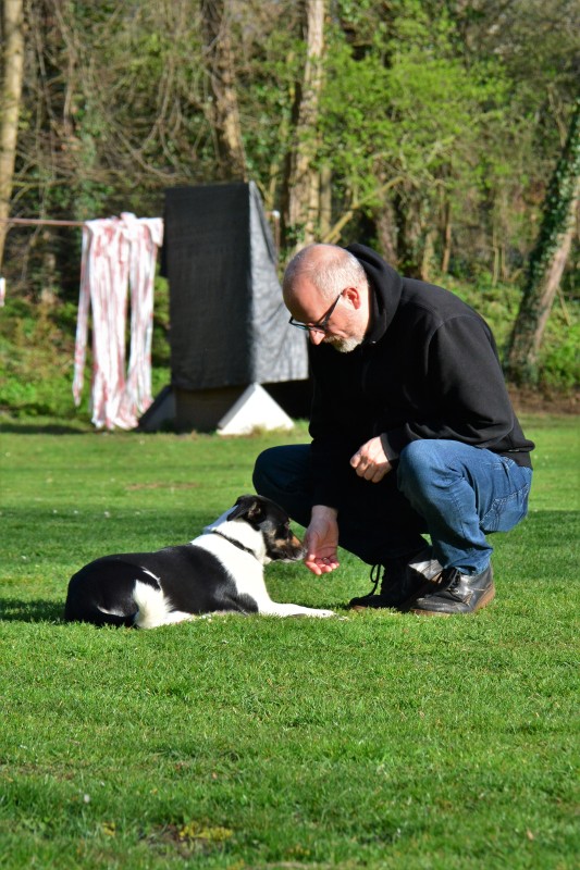 Spass mit Hund und Hoopers 10