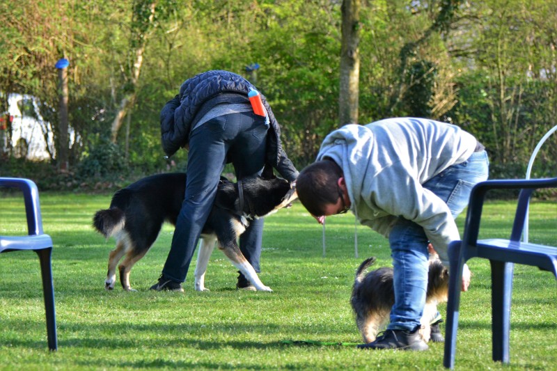 Spass mit Hund und Hoopers 15