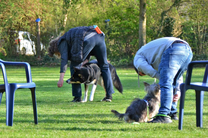 Spass mit Hund und Hoopers 16