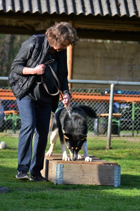 Spass mit Hund und Hoopers 21