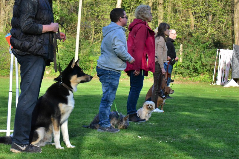 Spass mit Hund und Hoopers 25