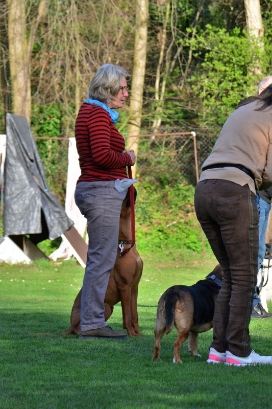 Spass mit Hund und Hoopers 26
