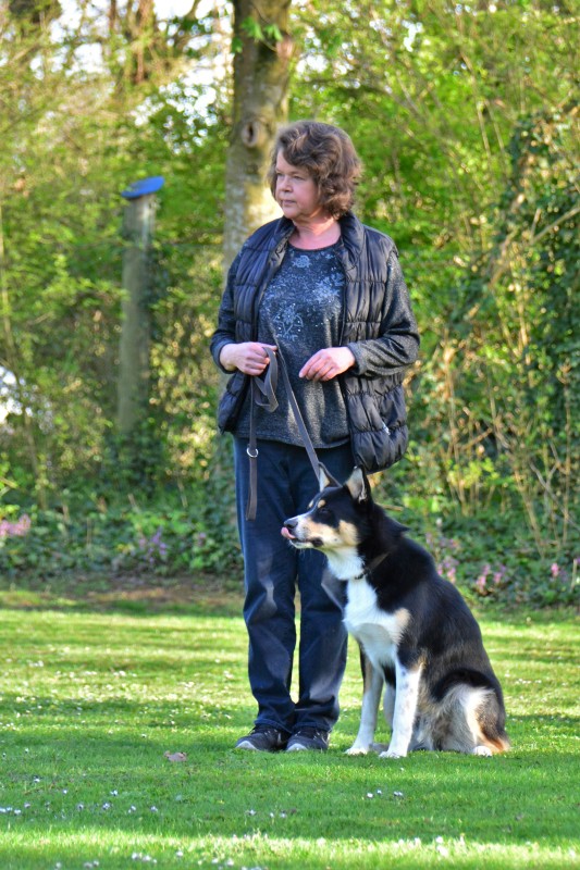 Spass mit Hund und Hoopers 27