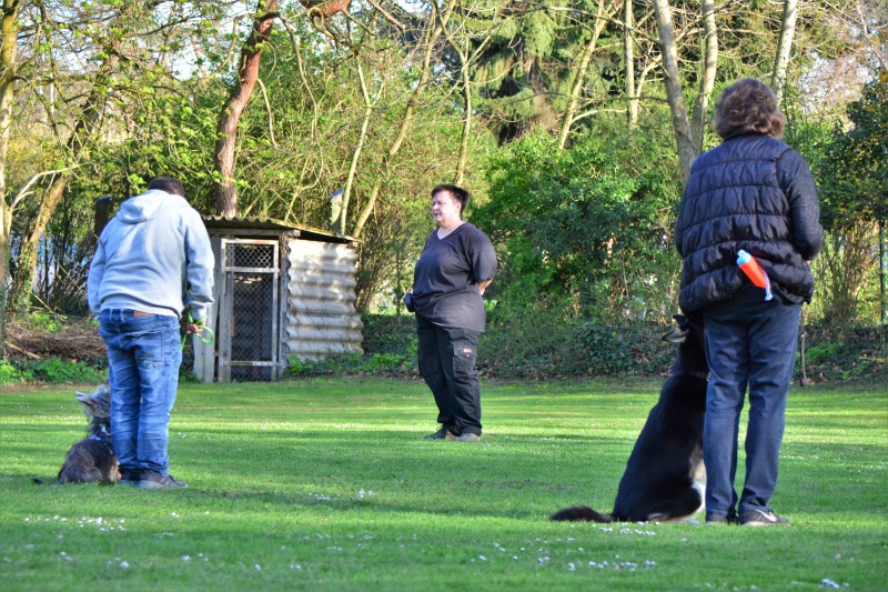 Spass mit Hund und Hoopers 31