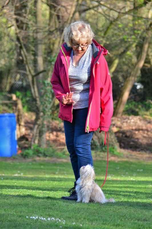 Spass mit Hund und Hoopers 33