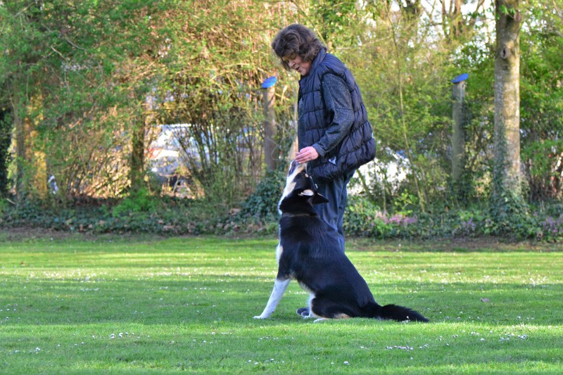 Spass mit Hund und Hoopers 40