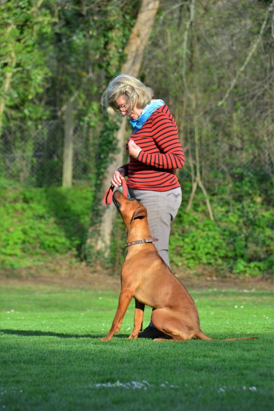 Spass mit Hund und Hoopers 43