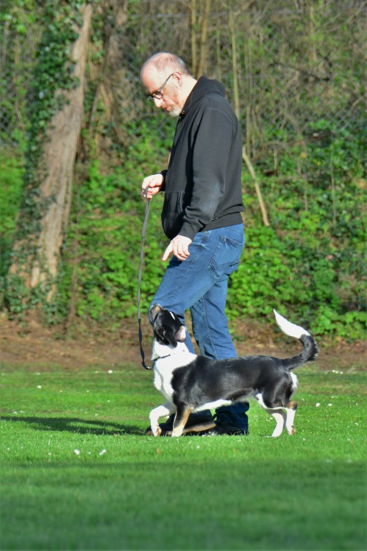 Spass mit Hund und Hoopers 44