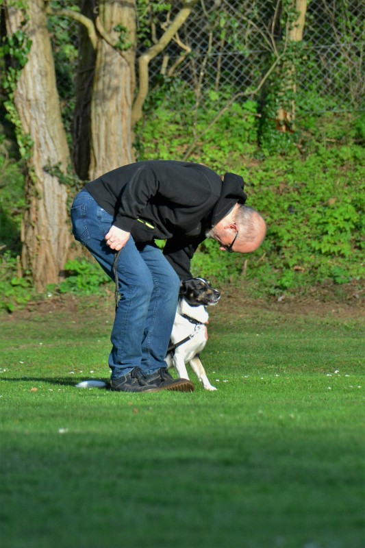 Spass mit Hund und Hoopers 45