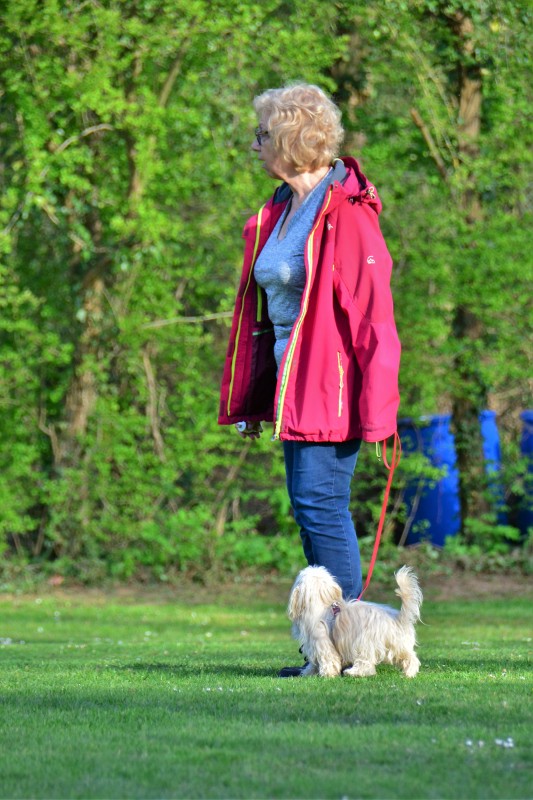 Spass mit Hund und Hoopers 46