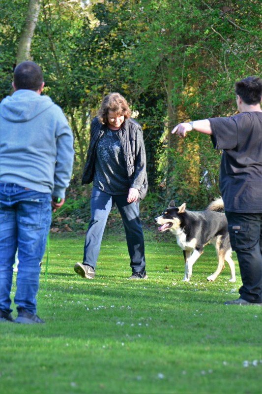 Spass mit Hund und Hoopers 47