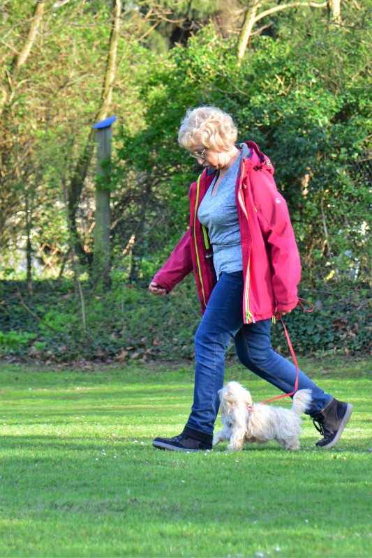 Spass mit Hund und Hoopers 48