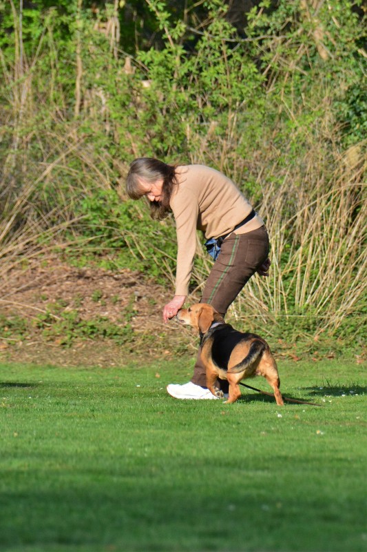 Spass mit Hund und Hoopers 49