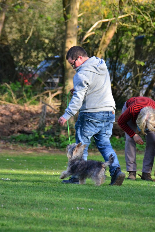 Spass mit Hund und Hoopers 51