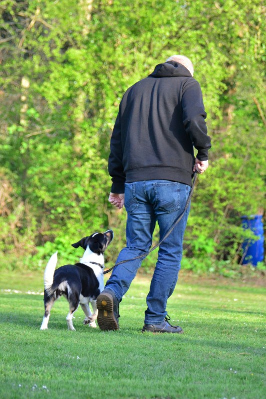 Spass mit Hund und Hoopers 52