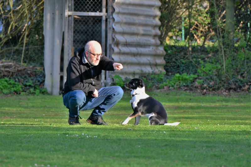 Spass mit Hund und Hoopers 65