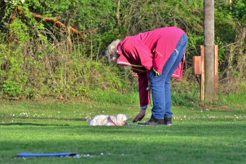 Spass mit Hund und Hoopers 66