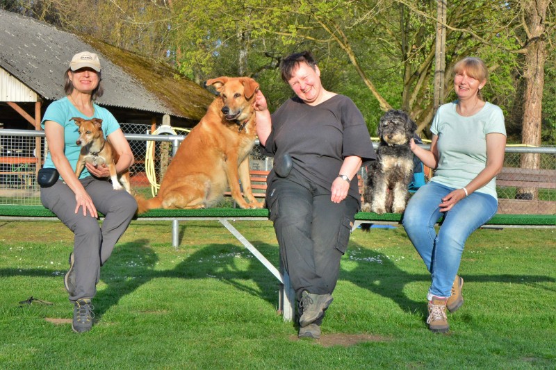 Spass mit Hund und Hoopers 68