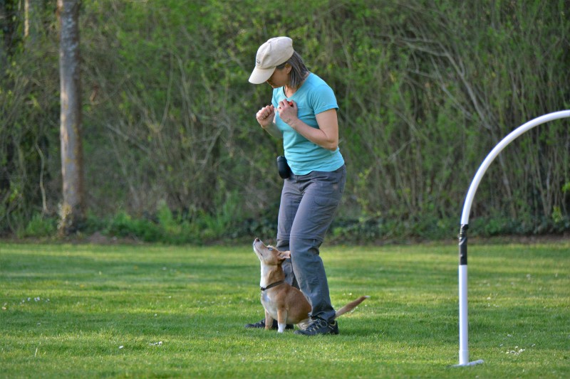 Spass mit Hund und Hoopers 69