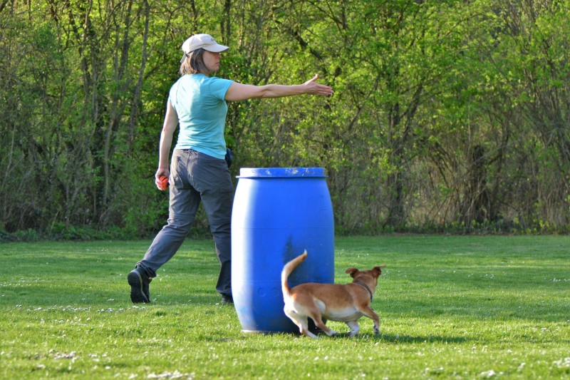 Spass mit Hund und Hoopers 73