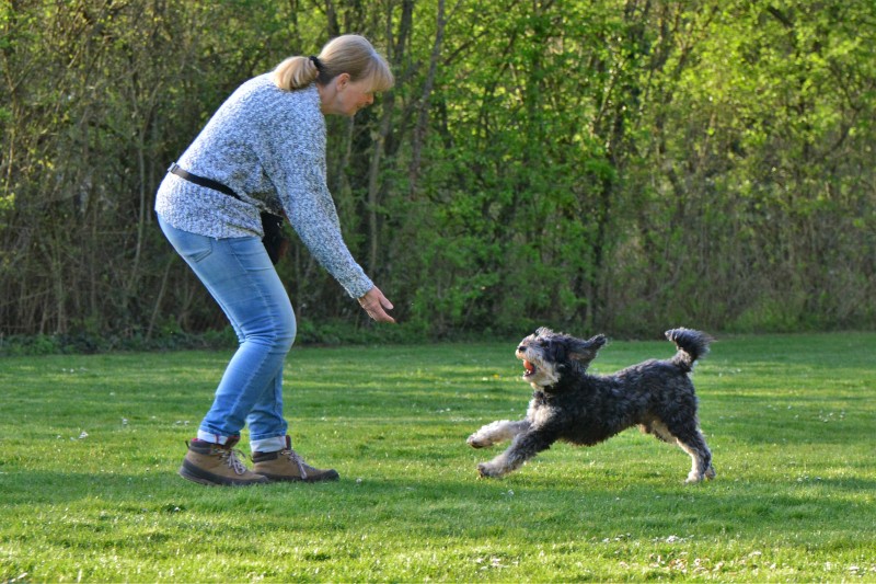Spass mit Hund und Hoopers 77