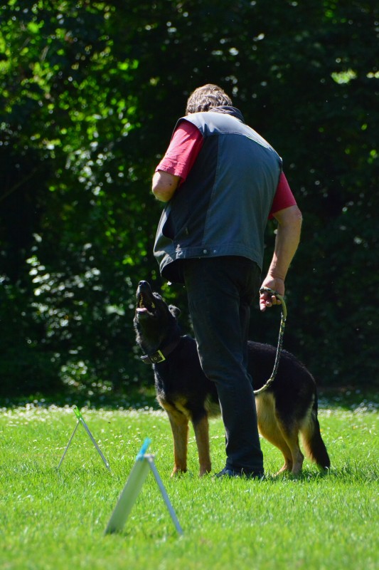 2022-05-22 Rally Obedience Turnier 001
