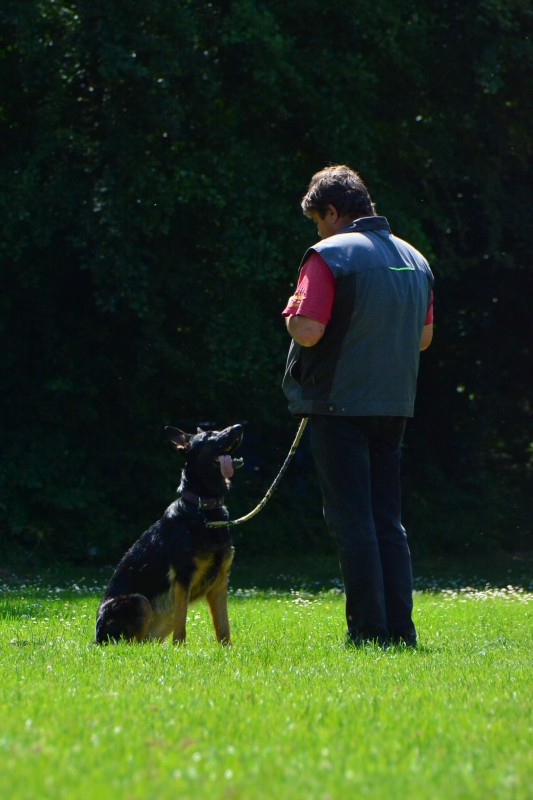 2022-05-22 Rally Obedience Turnier 002