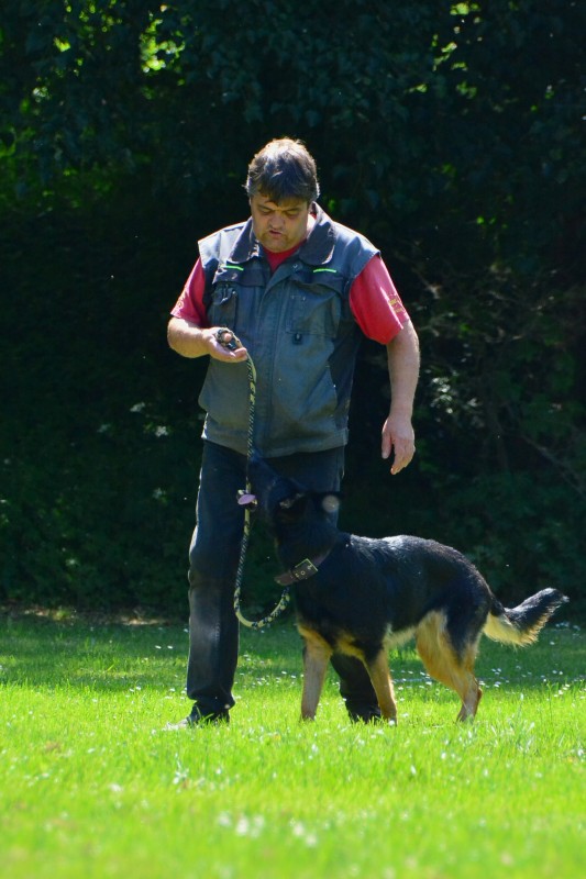 2022-05-22 Rally Obedience Turnier 003