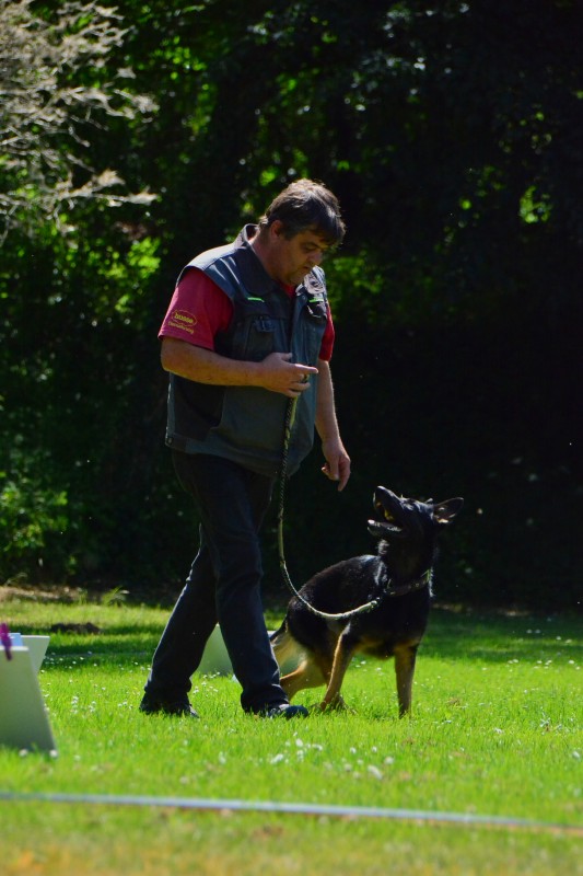 2022-05-22 Rally Obedience Turnier 004
