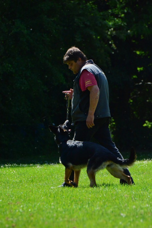 2022-05-22 Rally Obedience Turnier 005