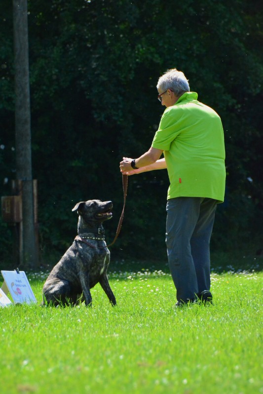2022-05-22 Rally Obedience Turnier 007