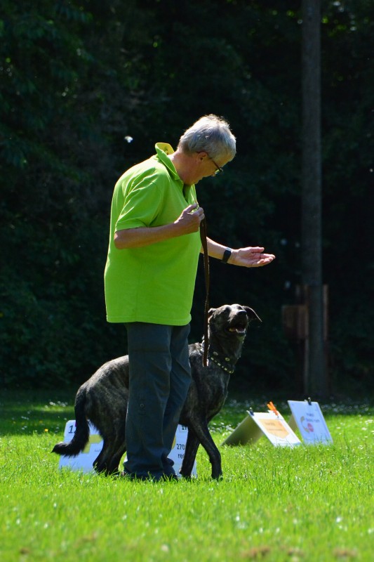 2022-05-22 Rally Obedience Turnier 009