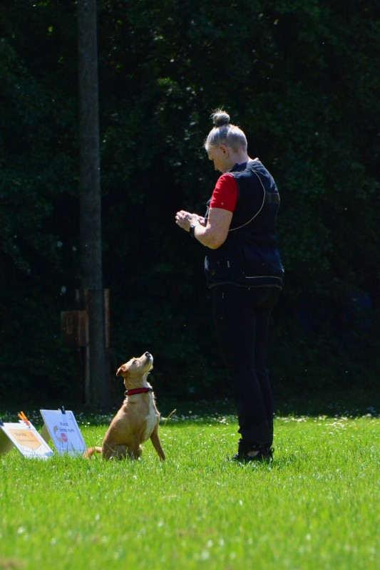 2022-05-22 Rally Obedience Turnier 011