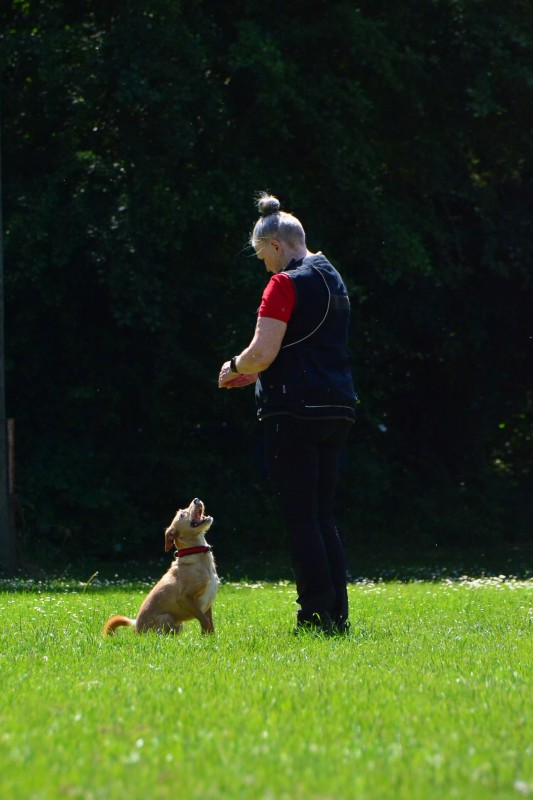 2022-05-22 Rally Obedience Turnier 012