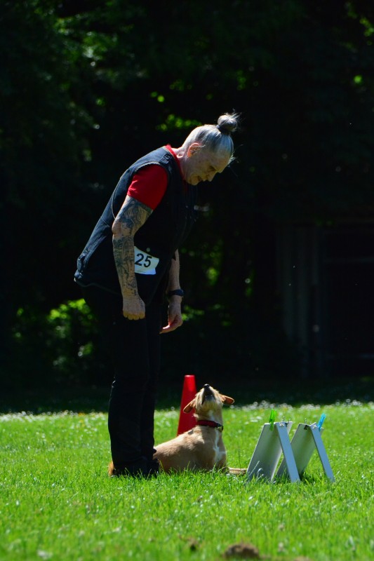 2022-05-22 Rally Obedience Turnier 015
