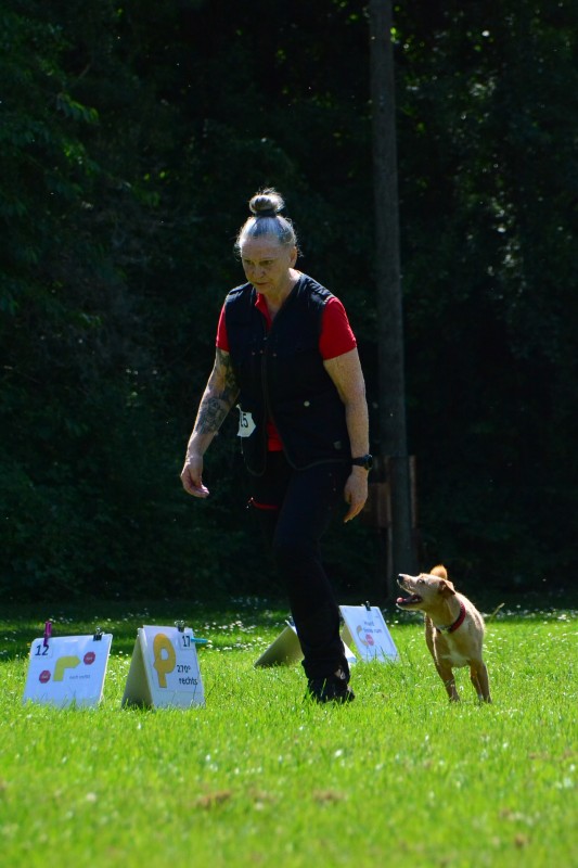 2022-05-22 Rally Obedience Turnier 016