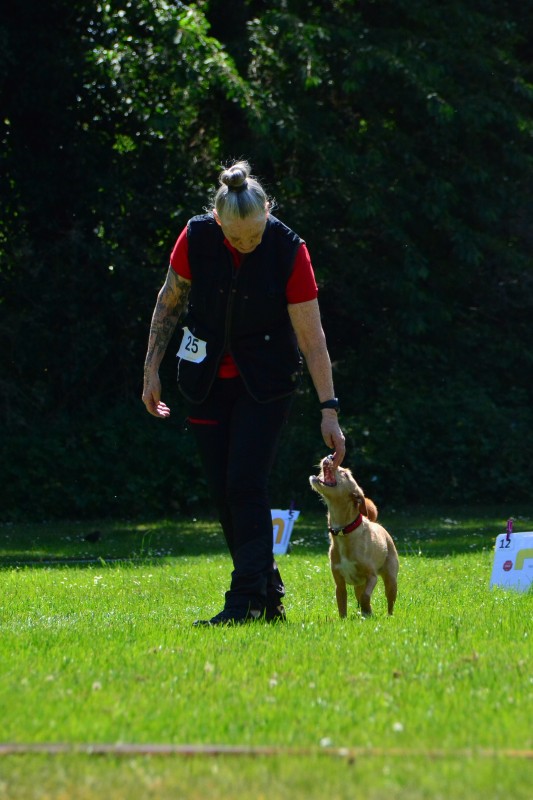 2022-05-22 Rally Obedience Turnier 017