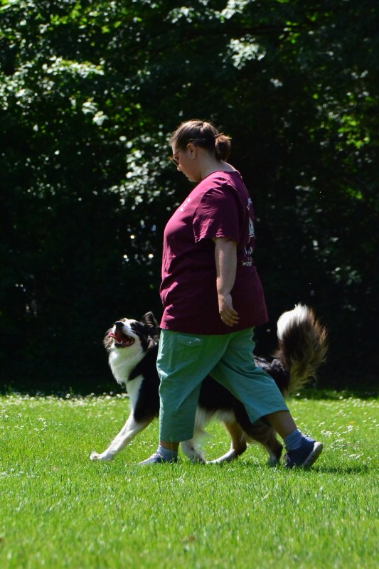 2022-05-22 Rally Obedience Turnier 018
