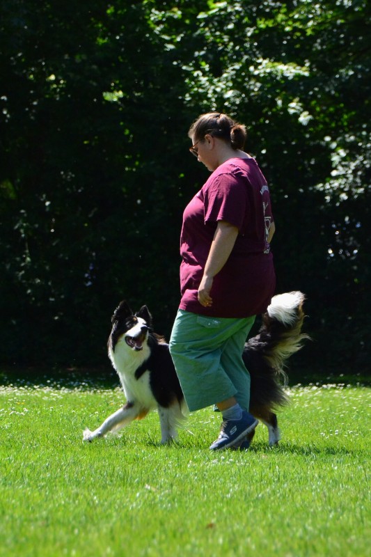 2022-05-22 Rally Obedience Turnier 019