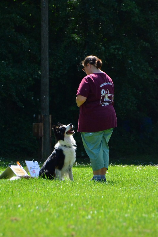2022-05-22 Rally Obedience Turnier 020