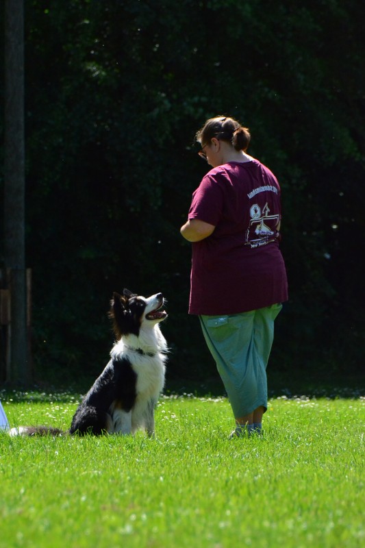 2022-05-22 Rally Obedience Turnier 021