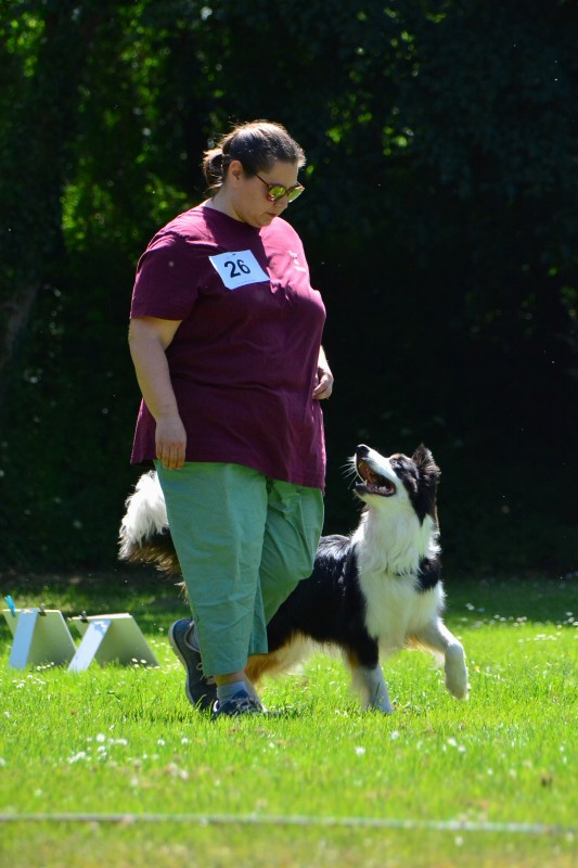 2022-05-22 Rally Obedience Turnier 024