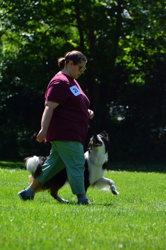 2022-05-22 Rally Obedience Turnier 025