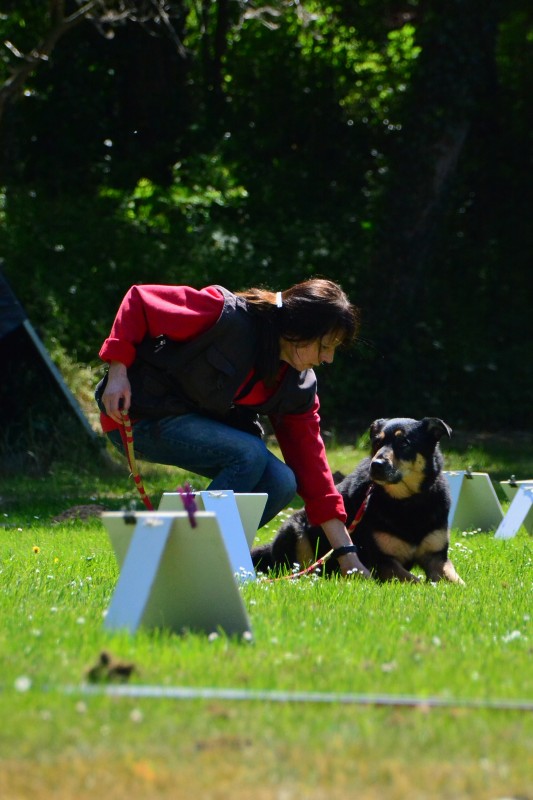 2022-05-22 Rally Obedience Turnier 027