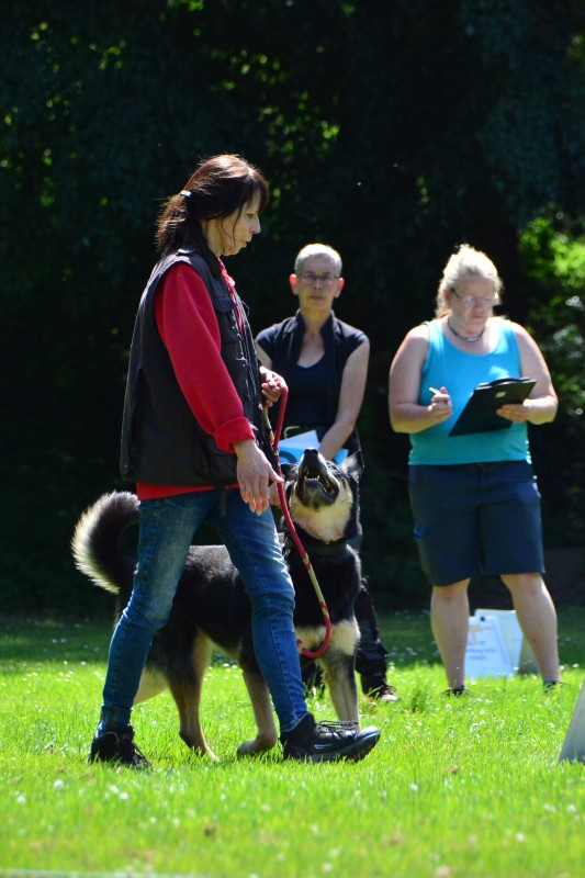 2022-05-22 Rally Obedience Turnier 028