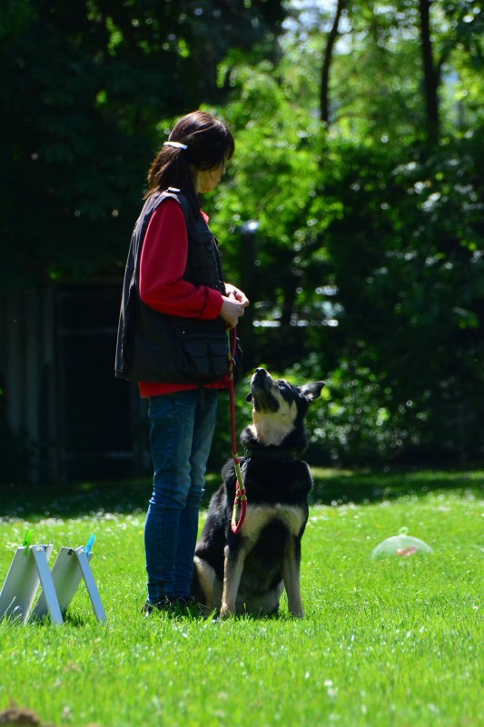2022-05-22 Rally Obedience Turnier 029
